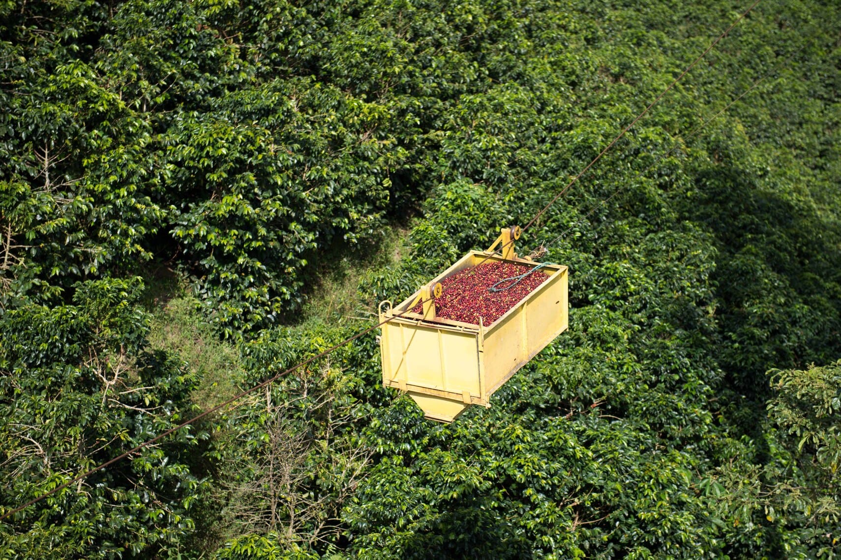 Documentación para la importación de café